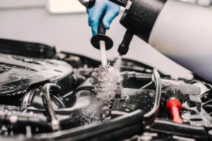 Engine Bay Cleaning